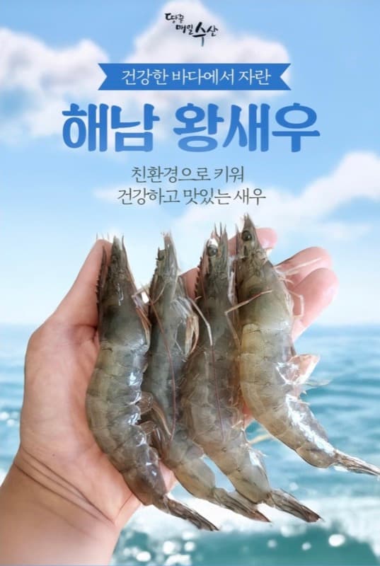 해남 왕새우